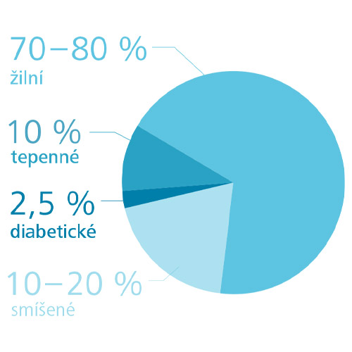 Kruhový graf znázorňující typy a příčiny bércových vředů