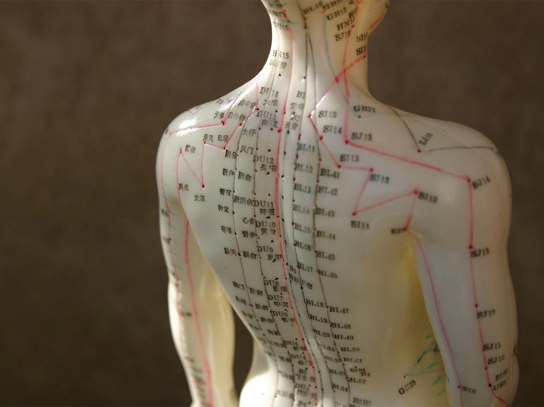 figurína s označenými akupunkturními body